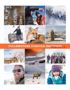 YFI Winter Catalog 2017-18