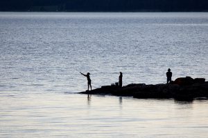 Visitors fishing from the shore of Yellowstone Lake