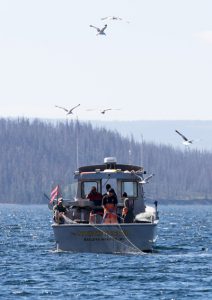 Gillnetting boat on Yellowstone Lake