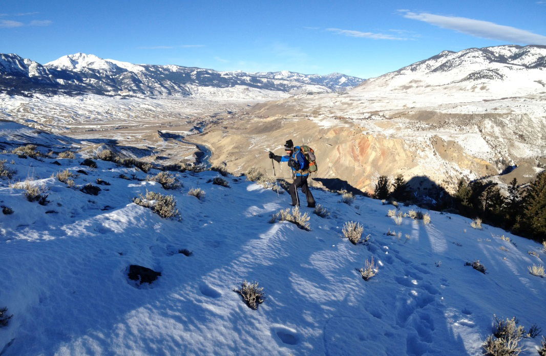 Cougar Study Field Work