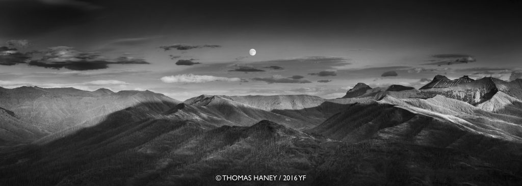 2nd Place Pro:Thomas Haney, Specimen Ridge Moonrise