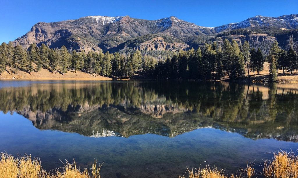 Trout Lake