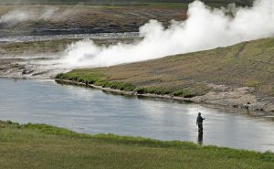 Fly fishing in Yellowstone