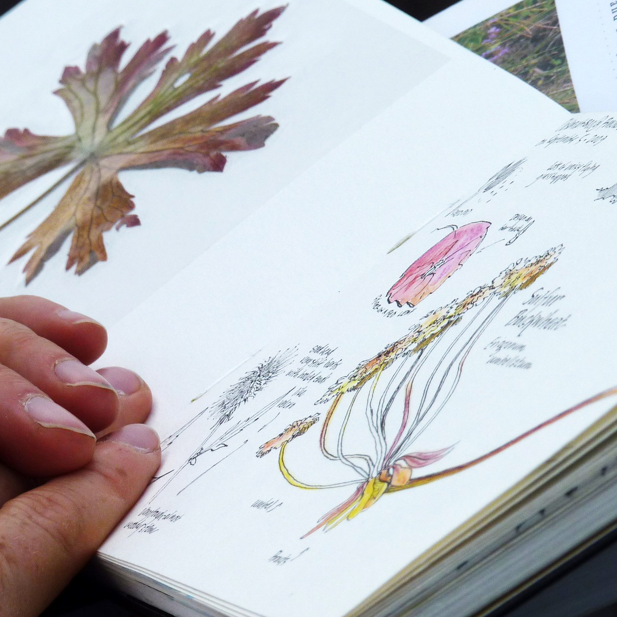 5inx5in_ArtistsWorking_Eblast3 Yellowstone nature journal