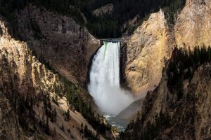 View of the Lower Falls from Artist Point