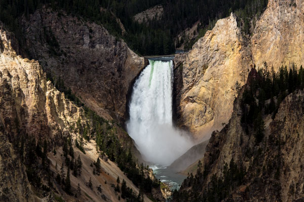 View of the Lower Falls from Artist Point