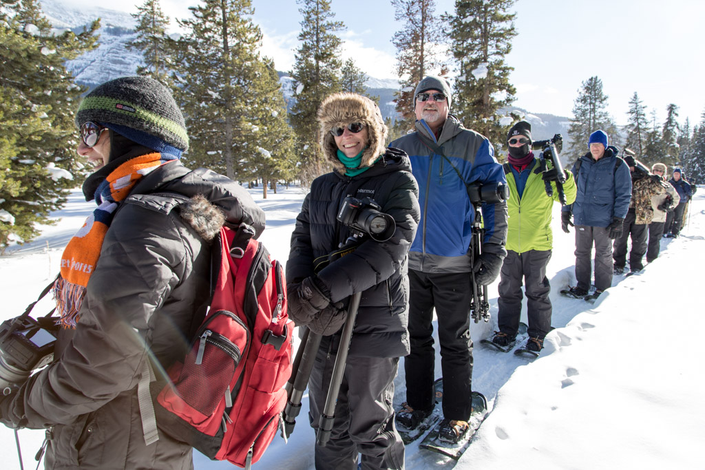 Experience Snowshoeing in Yellowstone Yellowstone Forever