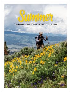 YFI Summer 2018 Catalog cover