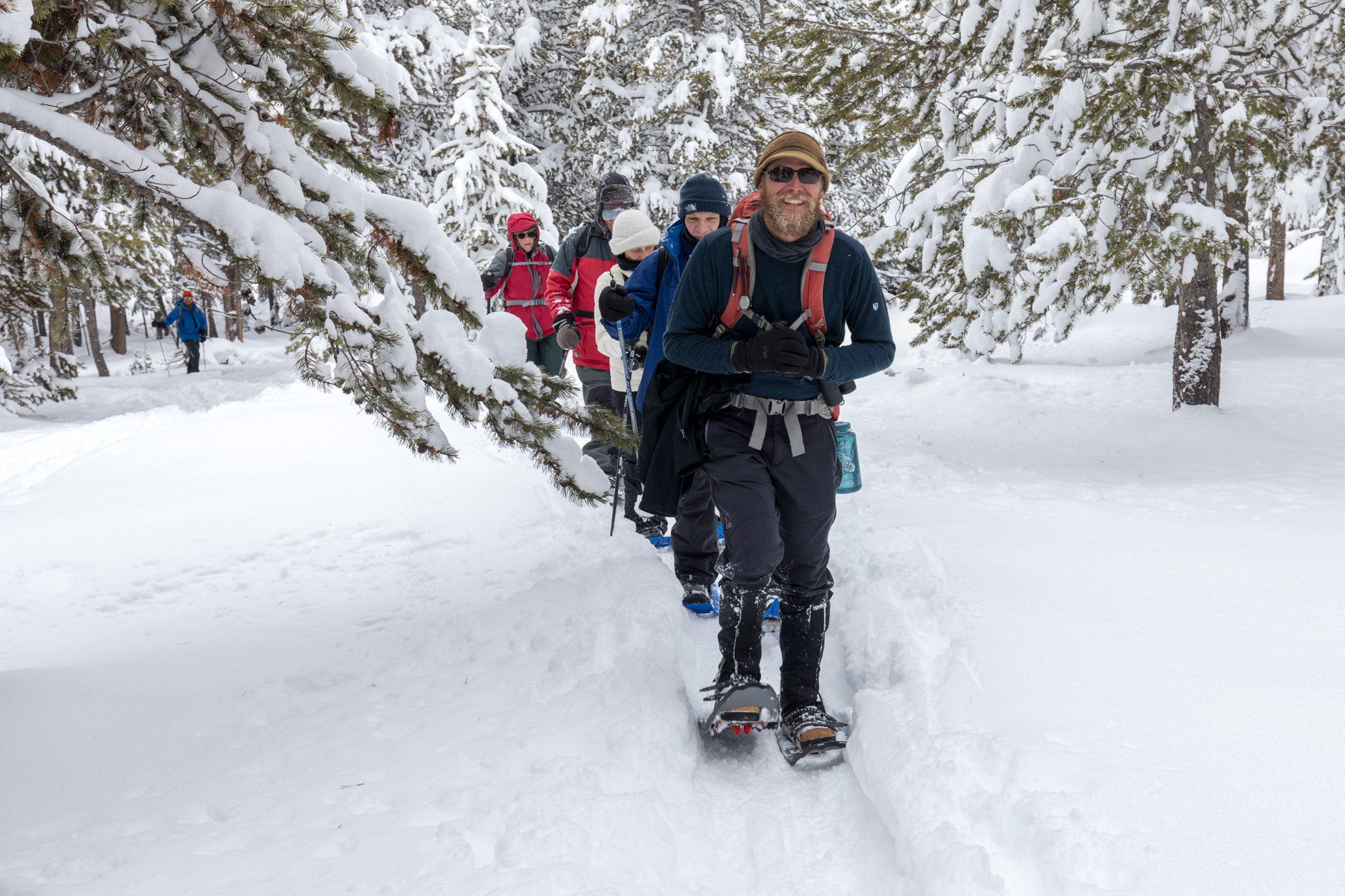 Top Reasons to Visit Yellowstone in Winter