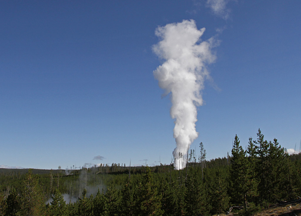 steamboat geyser steamboat geyser erupts for the first time in over 3 years steamboat geyser steamboat geyser erupts for the first time in over 3 years