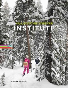 YFI Catalog - Winter 2018-19