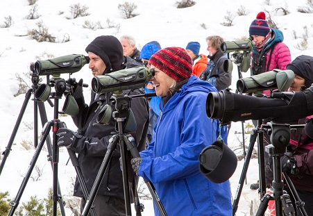 Wildlife viewing.