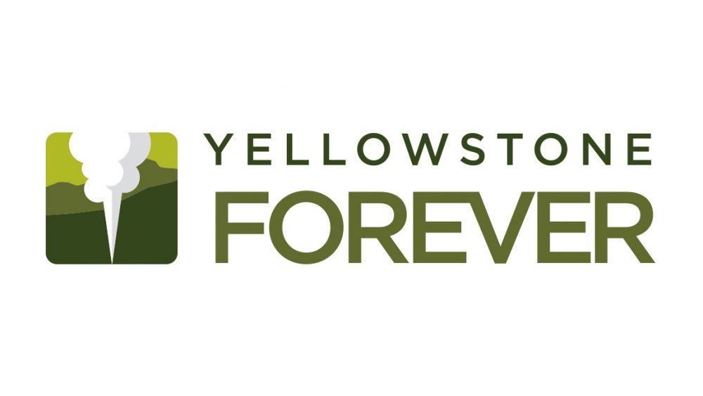 YF logo