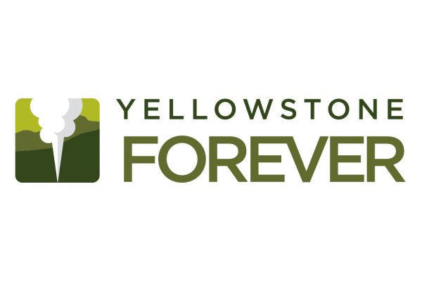 YF logo