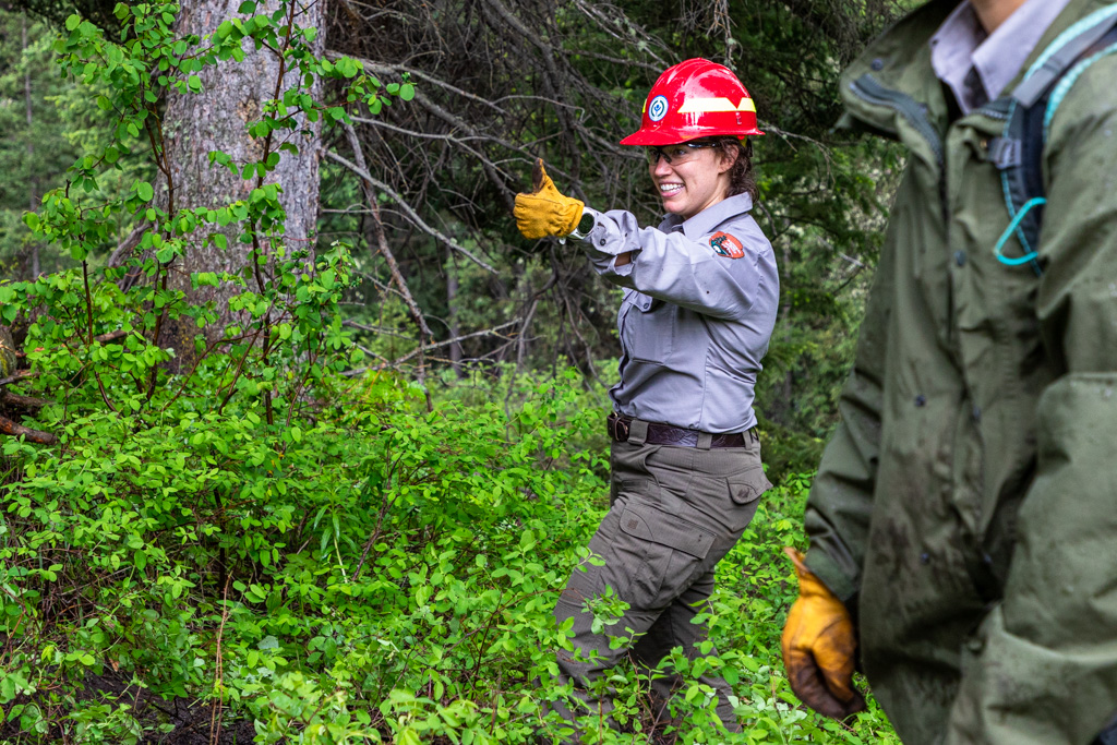 A Day with the Youth Conservation Corps Yellowstone Forever