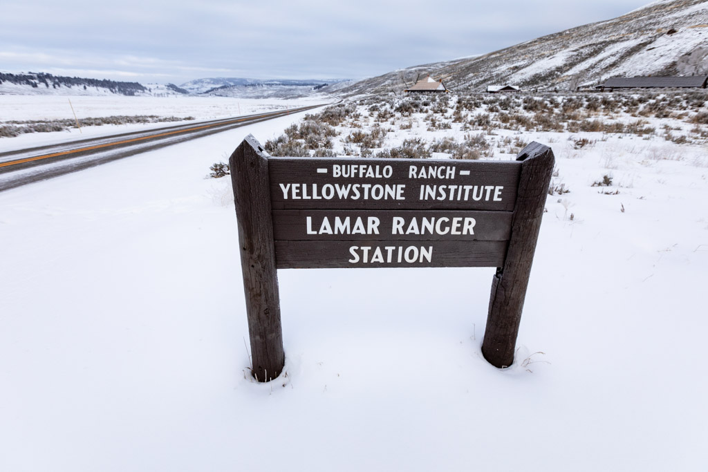 LBR, Lamar Buffalo Ranch, cabin
