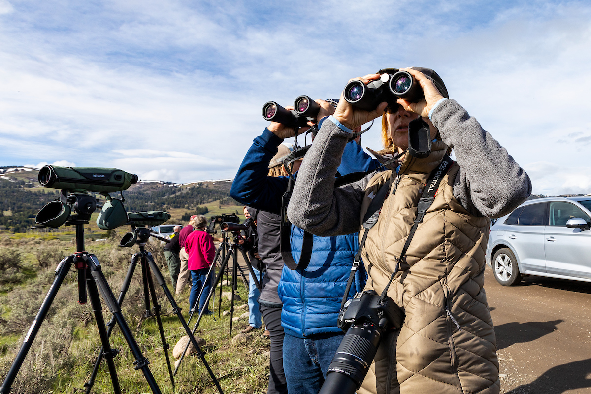 YF_WildlifeWatchingBinos_SloughCreek_MAY19_LudinMatt