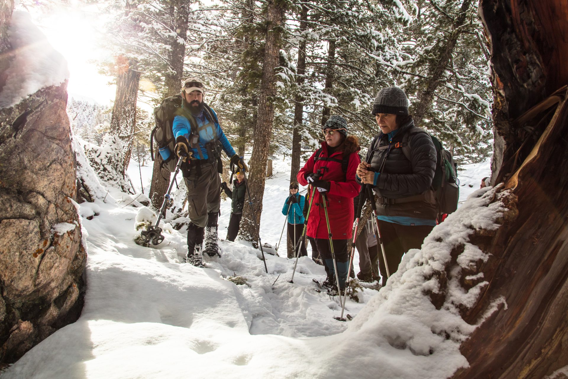 YellowstoneForeverCougarcourse Colbypointsoutcougartracks_JAN18_NPS_FrankJacob