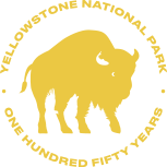 BisonLogo_Yellow_Pass