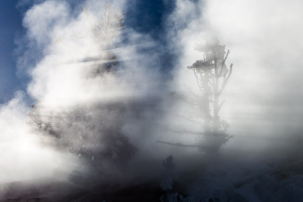 A Few Yellowstone Steam Devils 