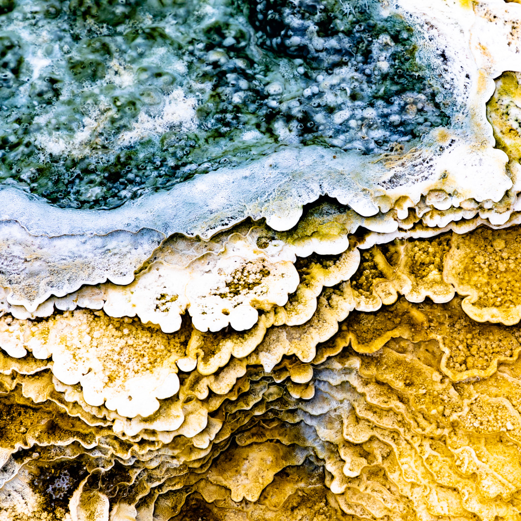 Microbial Diversity Yellowstone Hot Springs - Yellowstone Forever