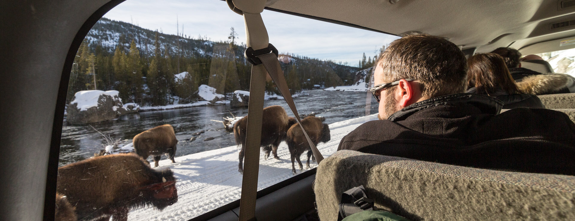 yellowstone-snowcoach-tour-bison-on-road-matt-ludin
