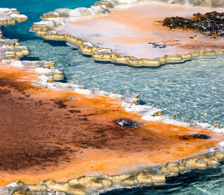 Abstract thermal features in Yellowstone's Upper Geyser Basin