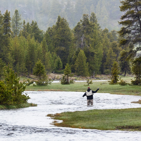 Backcountry Fly Fishing - Yellowstone Forever