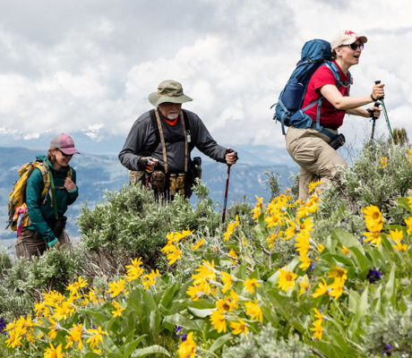A group of hikers climb up above Lamar Valley during summer in Yellowstone.