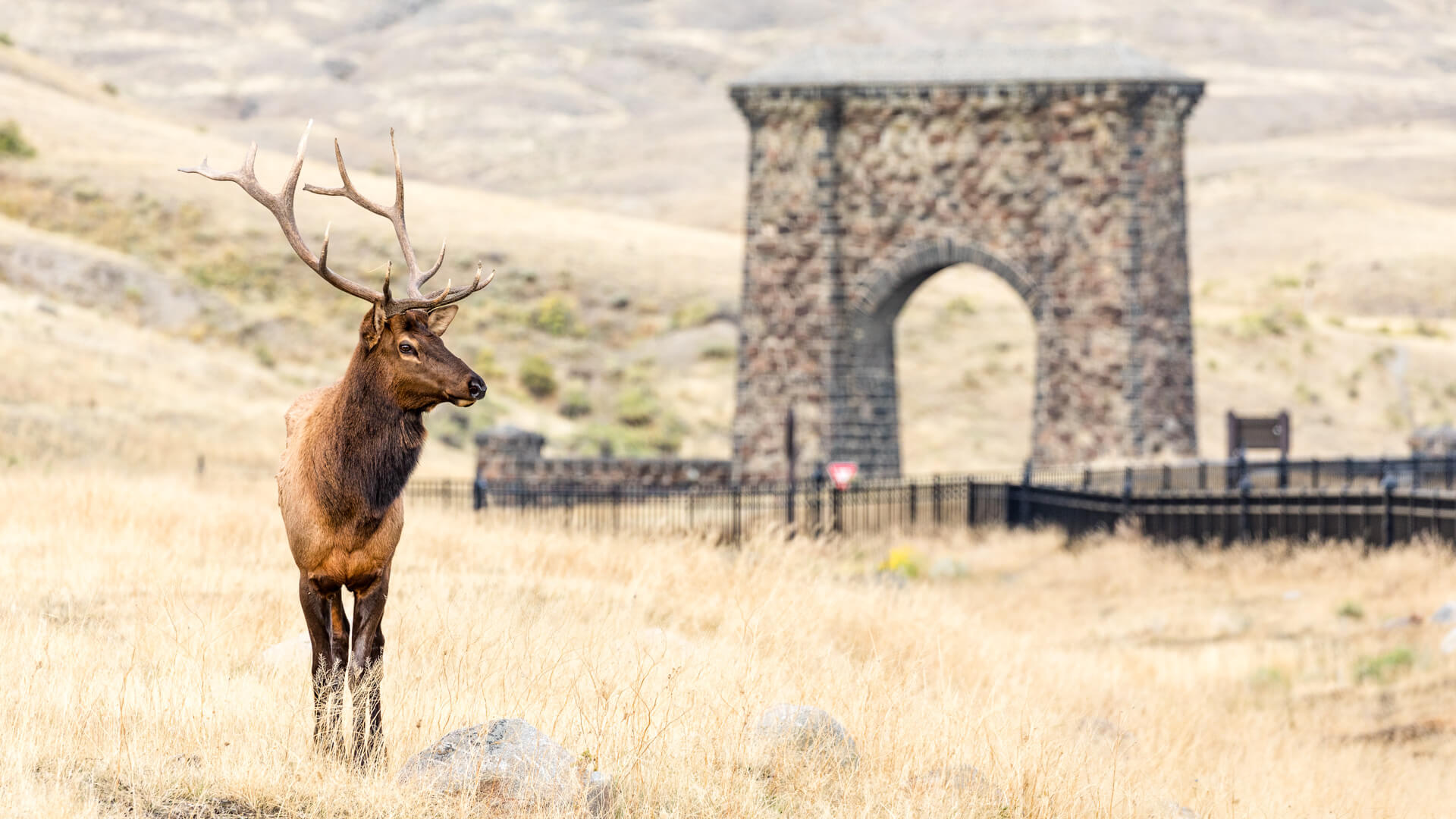 Plan Your Fall Trip to Yellowstone