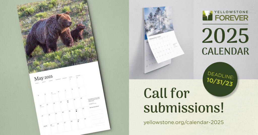 Yellowstone Forever