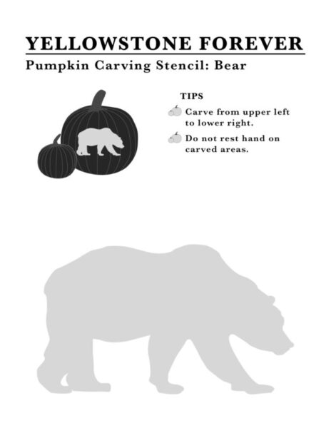 Bear-stencil