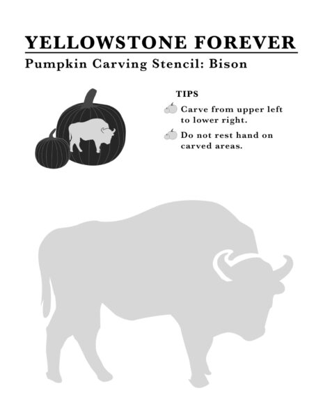 Bison-stencil