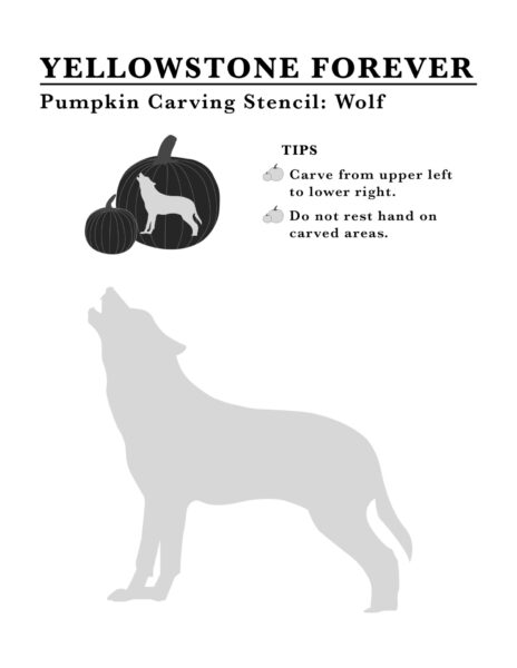 Wolf-stencil