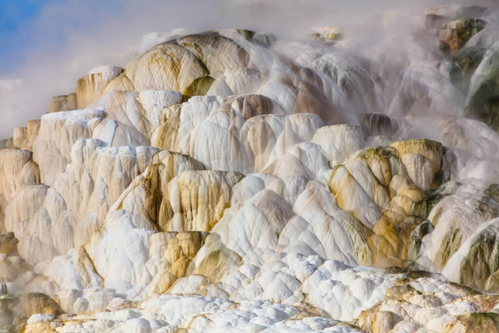 canary-spring-mammoth-nps-jacob-w-frank