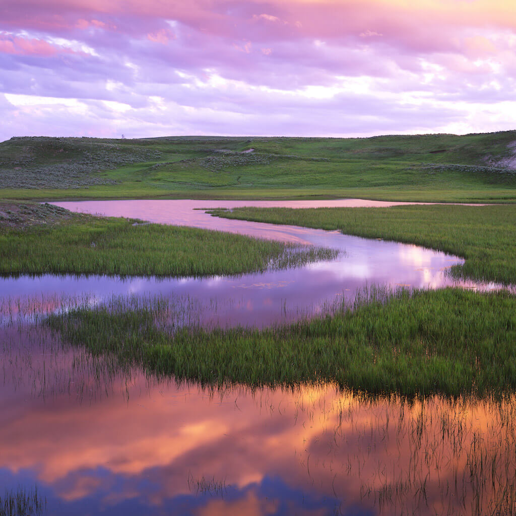 Dean Sauskojus | Antler Creek sunset in Hayden Valley