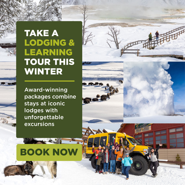 A collage of winter scenes with people exploring snowy landscapes, wildlife, a snow coach, and geyser; text promotes award-winning winter tours and lodging, urging viewers to Book Now..