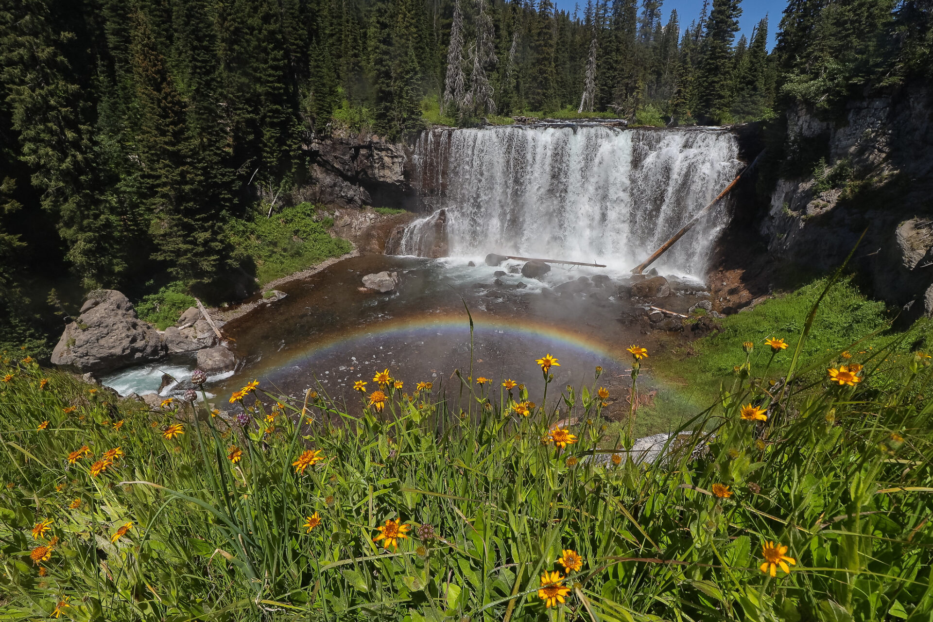 Rainbows-and-wildflowers-at-Iris-Falls-by-Addy-Falgoust