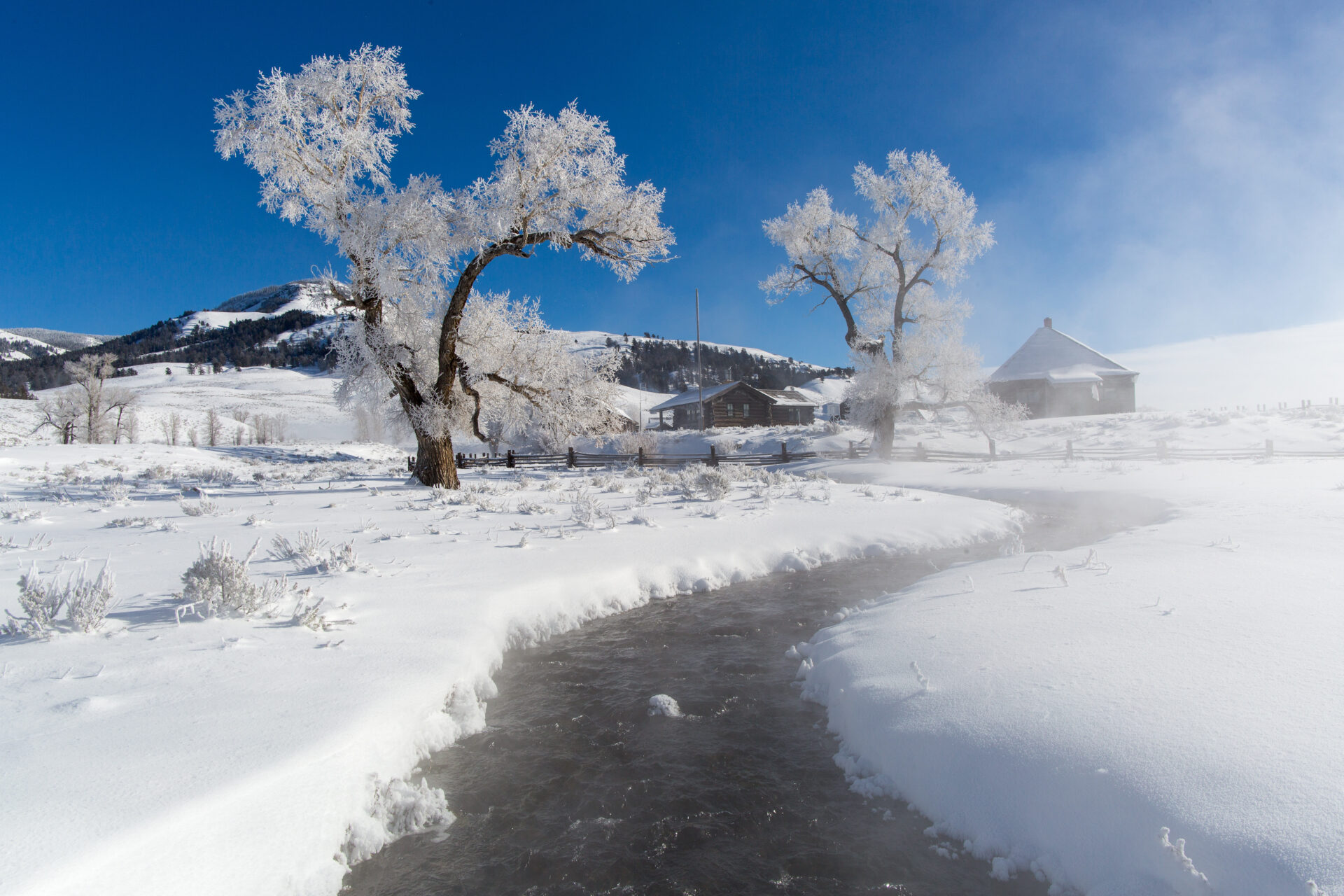 -20f-AT-THE-LAMAR-BUFFALO-RANCH-YELLOWSTONE-NPS-NEAL-HERBERT -20f-AT-THE-LAMAR-BUFFALO-RANCH-YELLOWSTONE-NPS-NEAL-HERBERT