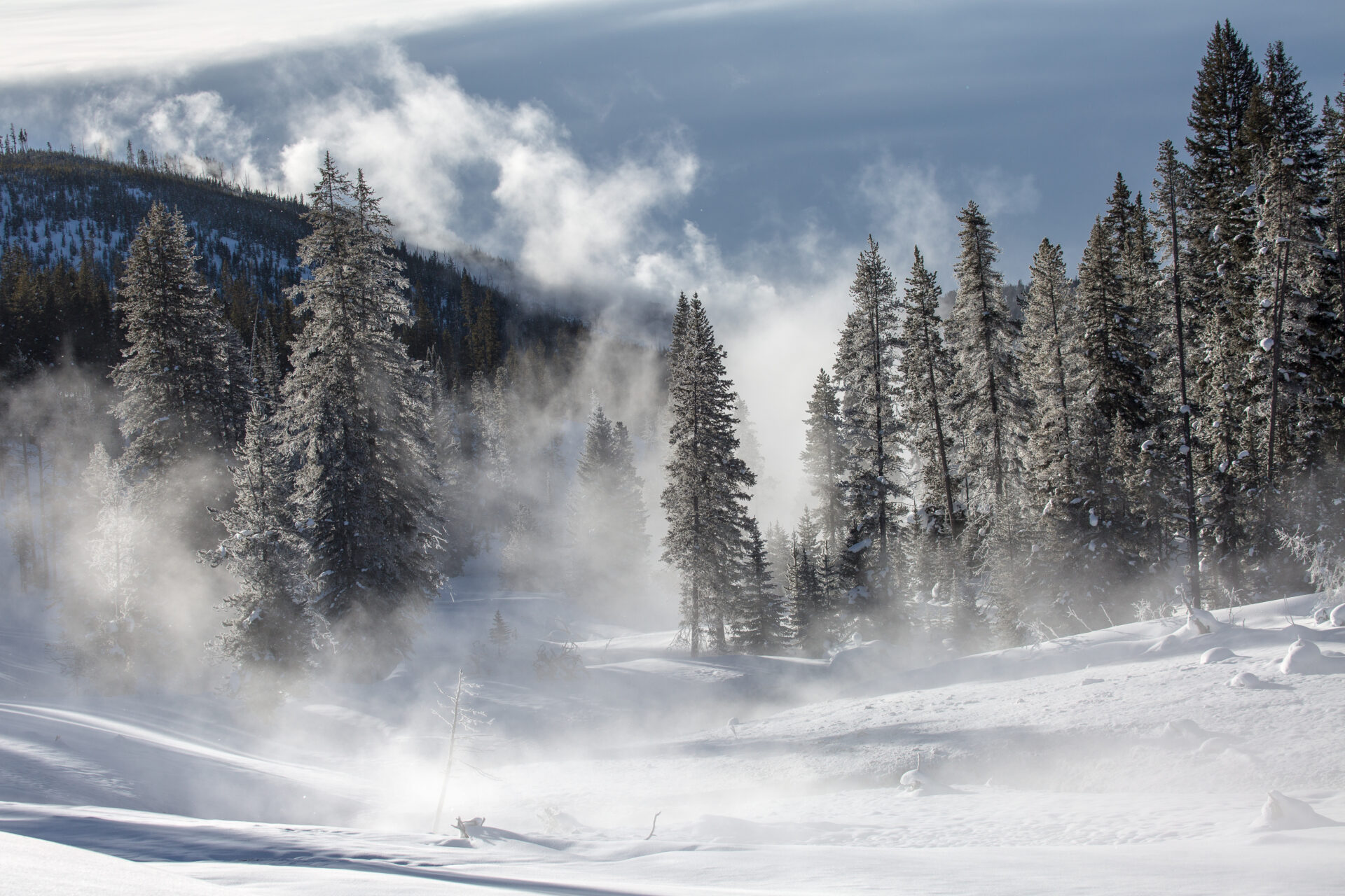 misty-morning-along-obisidian-creek-yellowstone-nps-neal-herbert