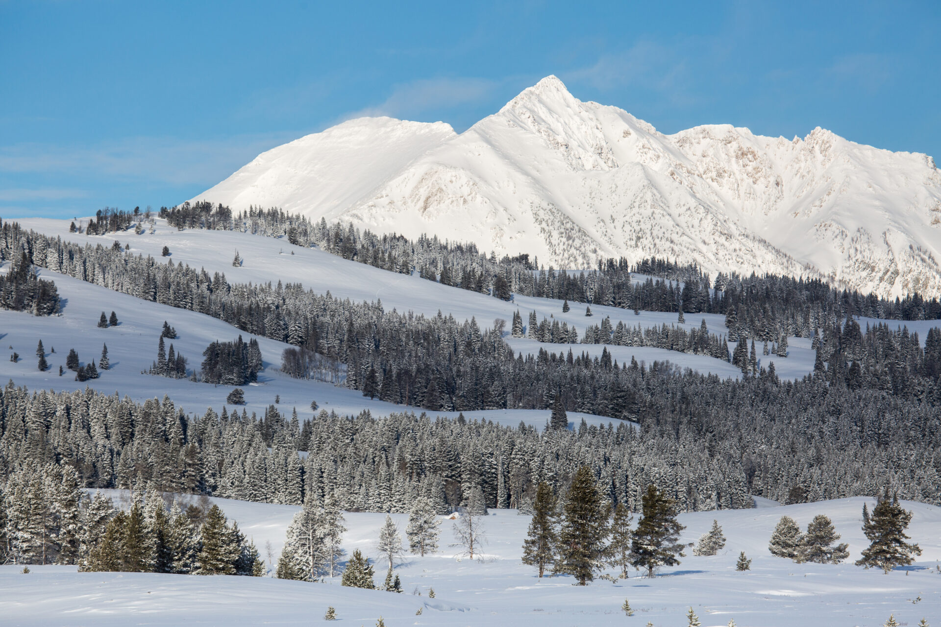 winter-morning-electric-peak-yellowstone-NPS-Neal-Herbert winter-morning-electric-peak-yellowstone-NPS-Neal-Herbert