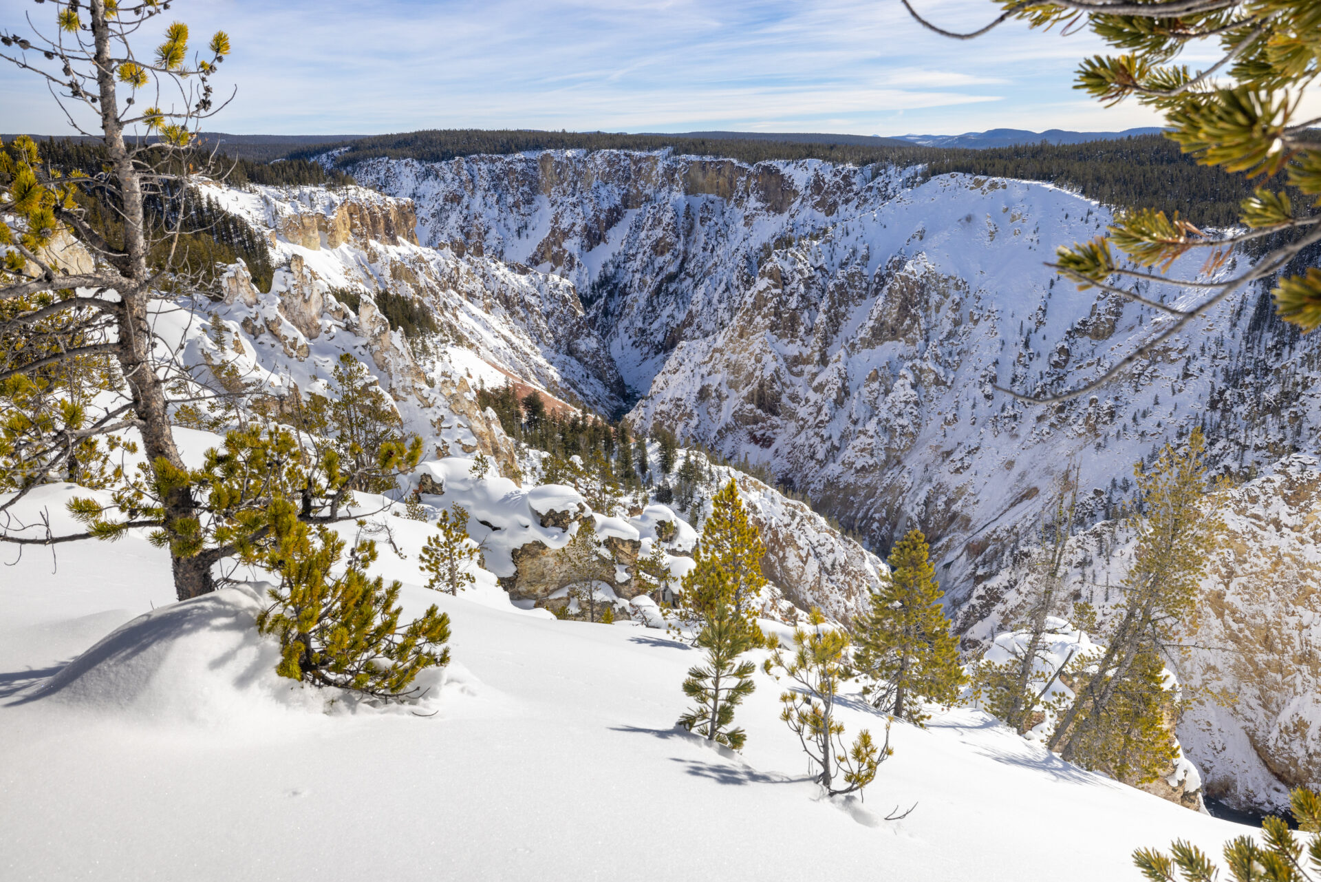 views-along-the-canyon-rim-ski-trail-nps-jacob-frank-yellowstone-forever