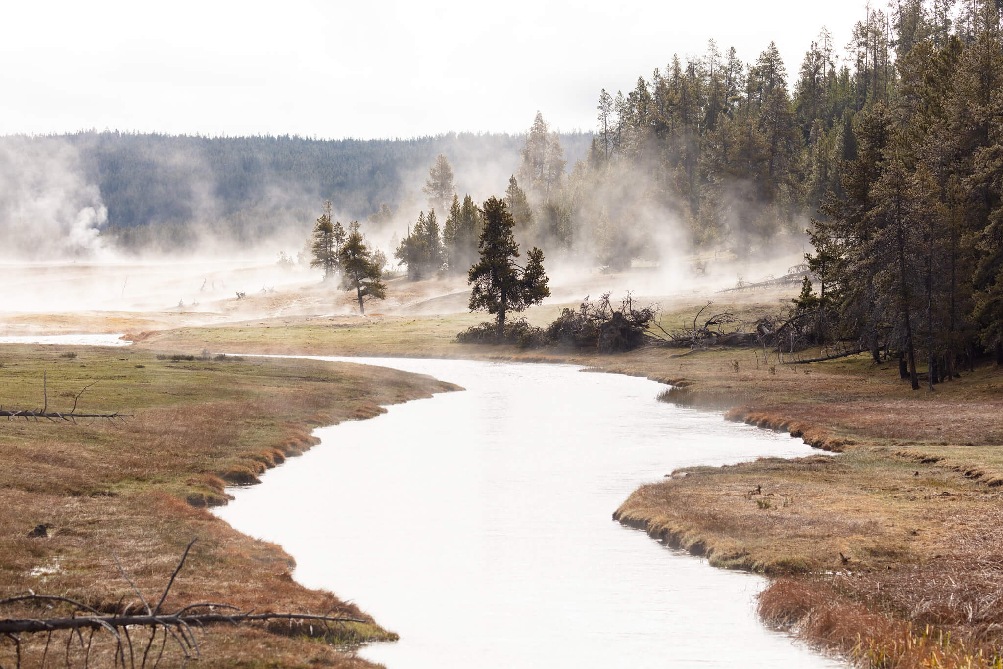 early-light-along-nez-perce-creek-nps-jacob-w-frank-yellowstone-large (1)