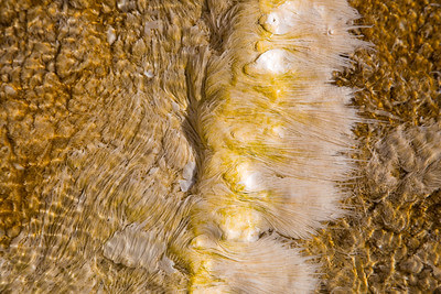 filamentous-bacteria-at-mammoth-nps-neal-herbert-yellowstone-small (1) filamentous-bacteria-at-mammoth-nps-neal-herbert-yellowstone-small (1)
