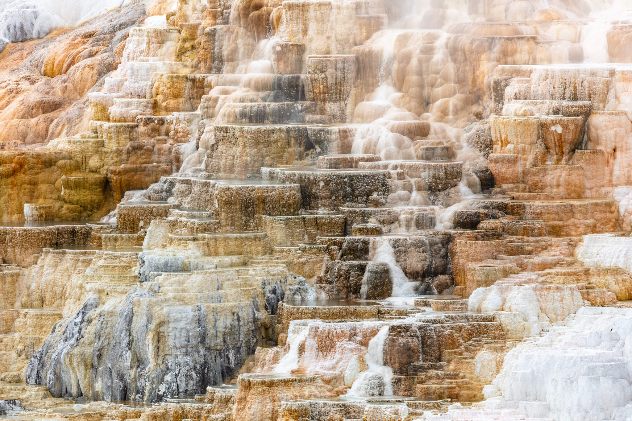 palette-spring-terraces-tight-nps-jacob-w-frank-yellowstone-large (1) palette-spring-terraces-tight-nps-jacob-w-frank-yellowstone-large (1)
