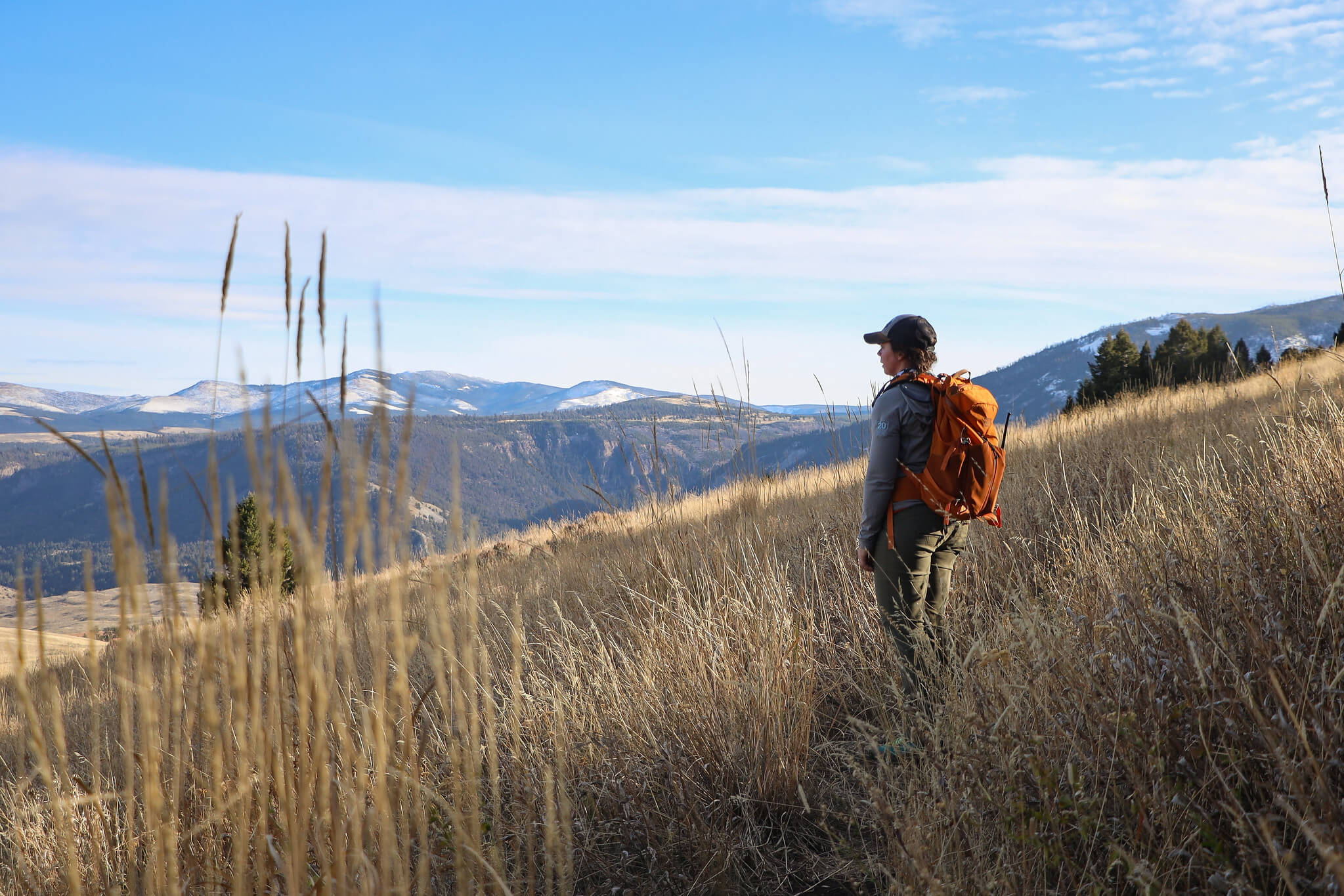 a-hiker-takes-in-the-views-along-the-beaver-ponds-loop-trail-nps-addy-falgoust-yellowstone-large