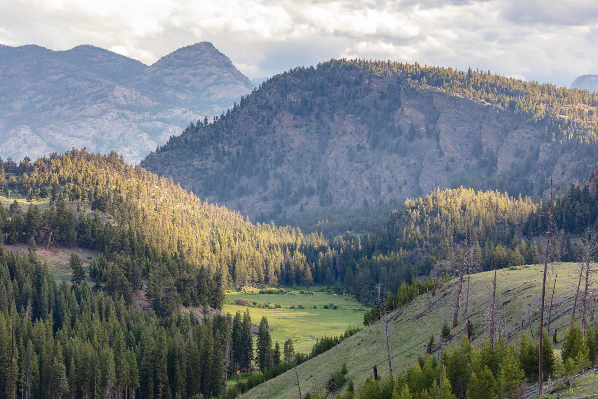 yanceys-view-from-the-road-nps-jacob-w-frank-yellowstone-large