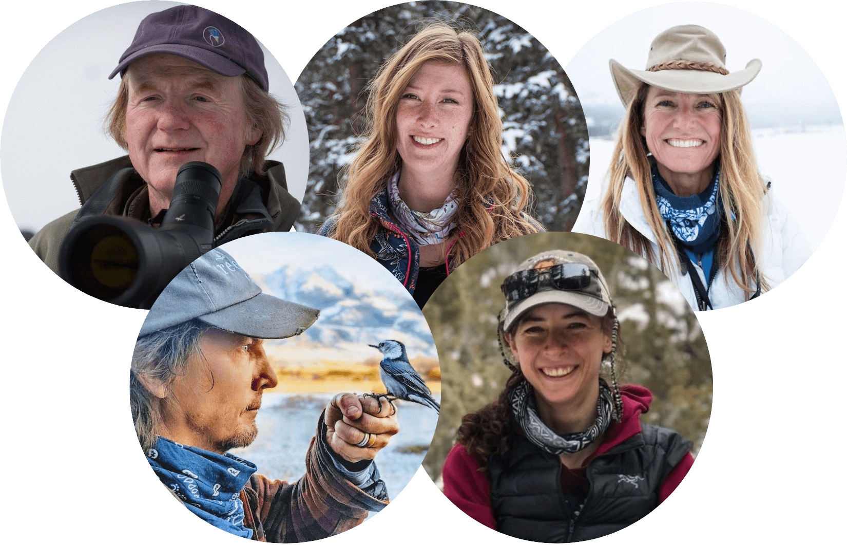 rick-mcintyre-amanda-evans-joanna-lambert-jeff-reed-nikki-tatton-yellowstone-forever (2) rick-mcintyre-amanda-evans-joanna-lambert-jeff-reed-nikki-tatton-yellowstone-forever