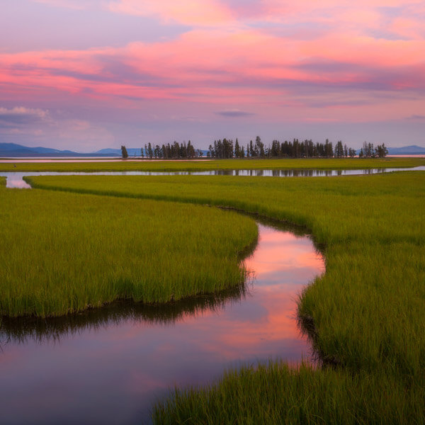 Pelican Creek Summer Sunset 2026 Yellowstone Forever Calendar Contest winning image of a serene sunrise at Pelican Creek and Yellowstone Lake during the summer season.