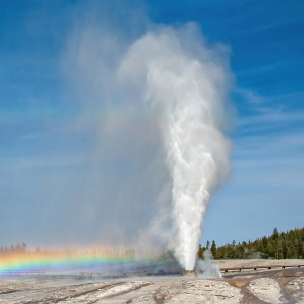 Beehive Geyser Eruption and Rainbow 2026 Yellowstone Forever Calendar Contest winning image of an eruption of Beehive Geyser on a bluebird day forming a low-lying rainbow underneath.